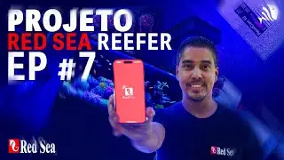 Projeto Red Sea Reefer #7 - Resfriador, Lumin&aacute;rias ReefLed e aplicativo ReefBeat.