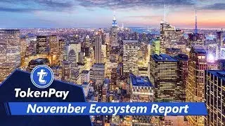 TokenPay l November Ecosystem Report