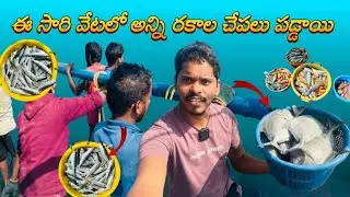 All types of fishes | fishing boat | Pakka_local_kurrodu