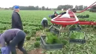 Modern agricultural machinery & Современная сельскохозяйственная техника