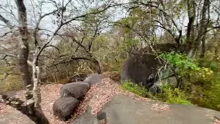 Dry deciduous forests of Joida, Karnataka