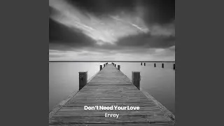 Don't Need Your Love