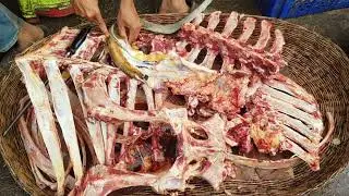 Skinning a Cow Tail