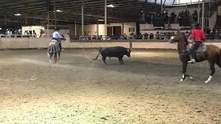 Los Nuevos Retnos De Jalisco 2020 Octubre 18