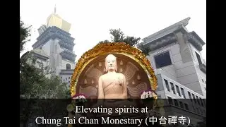 Elevating spirits at Chung Tai Chan Monestary (中台禪寺)
