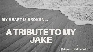 In Memory of Jake