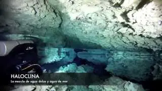 HALOCLINA