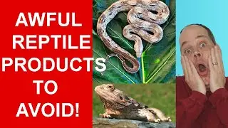 7 WORST Reptile Products EVER!!!