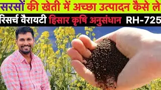 सरसों में फूल आते ही ये डाल दिया तो फलियाँ भर-भर कर आएँगी | Mustard Farming Tips