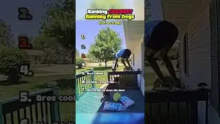 Ranking Craziest Running from Dogs