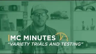 Variety Trials and Testing | MC Minutes
