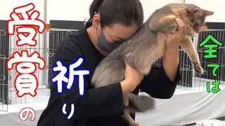 全身全霊出しきった&hellip;その結果❗️【ソマリ】