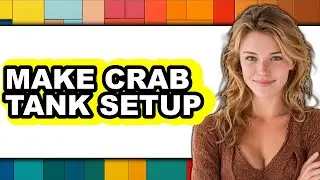 How to Make Crab Tank Setup (Full Guide)