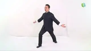 MeridianHealthProtocolVideoHi Res