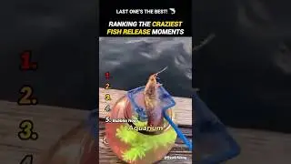 Craziest Fish Release Moments 🐠 #shorts #fishrelease