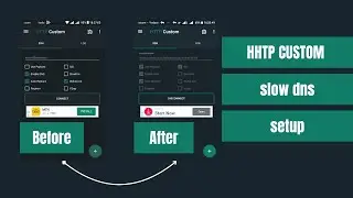 HTTP Custom Slow DNS Settings: Maximize Your Internet Performance