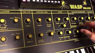 EDP WASP Deluxe