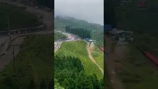 Kanyam Ilam #kanyam #Ilam #teagarden