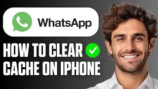 Как очистить кэш WhatsApp на iPhone (полное руководство 2026 года)