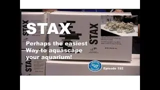 STAX from Two Little Fishies | Episode 192