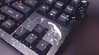 HMX Cheese | Linear Switch Sound Test | DROP CSTM80 with DCD Space Whale Case & Keycaps