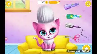 Обзор на игру Pet Beauty Salon {ДЕЛАЮ СПА ЖИВОТНЫМ} 🎀Китайская фиалка 🎀