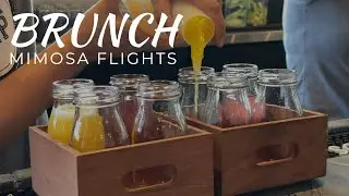 Mimosas hit the spot | Daily Vlog 13