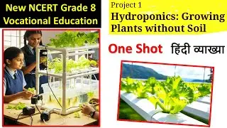Hydroponics Chapter 1 | Class 8 NCERT Vocational Education Kaushal Bodh | One Shot