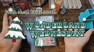 $55 Wonderland Wednesday! 🎄💚