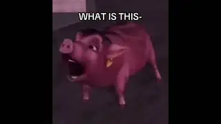 Pig saying daddy make it go away meme SPED UP from some Barbie movie