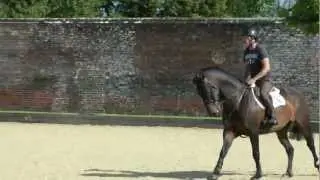 Bryony Holloway.. www.comphorses.net