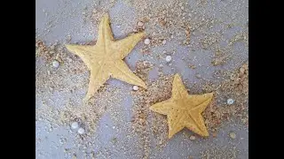 How to Make Fondant Starfish - Kako napraviti morsku zvezdu od fondana Cake Decorating Tutorial