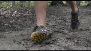 Trail Running & Preventing a Sprained Ankle | RunSmart Online