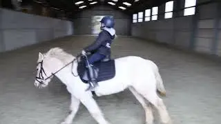 Lotte in Galop (1/2/2026)