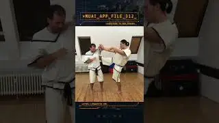 MUAI - Tech Application File 312 (Berlin, 2017) #Pahuyuth #Muai #Martialarts