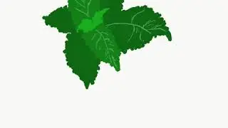 Stinging Nettle Time-Lapse