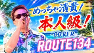 【完全再現】ROUTE134 / 杉山清貴&オメガトライブ｜本人級カバー Vocal マネ山清貴｜80sシティポップ