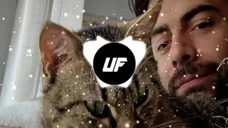 Samplifire - RATS [Released]