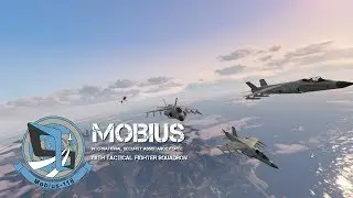 Patrolling the air space.