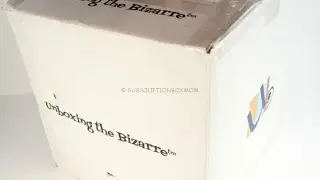 Unboxing the Bizarre May 2016 Unboxing + Coupons @unboxbizarre