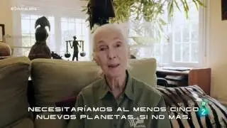 Entrevista a Jane Goodall en Rainfer. Órbita Laika TV2