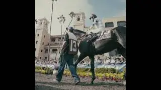 TOC HORSEPLAYER TOUR PROMO