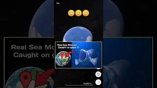 Giant Bloop caught on google earth?! #earthsecret377 #map #earth