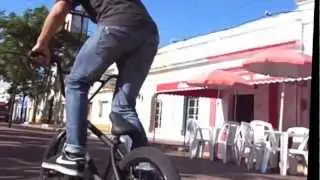 Perro cagador de pasada..