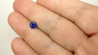 Natural Blue Sapphire Round &ldquo;Roulette&rdquo; Cut | 1.03cts | #11-1332