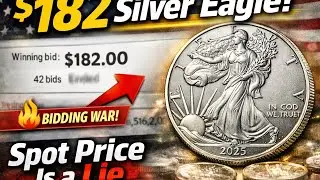 &ldquo;1oz Silver Eagle Sells for $182 on eBay &mdash; Physical Market Exposes the Real Price&rdquo;
