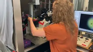 Whole cell patch clamp