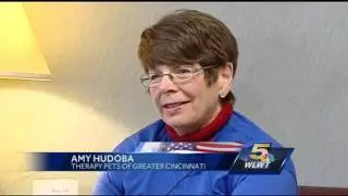Cincinnati VA hospital utilizes therapy dogs in veterans' recovery