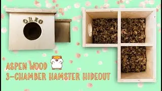 DIY Aspen Wood Multi-Chamber Hamster Hideout