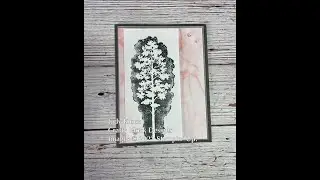 Amazing Silhouettes